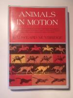 Animals in motion