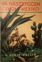  P&aring; h&auml;stryggen genom Mexiko 