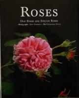 Roses: Old Roses and Species Roses