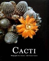 Cacti