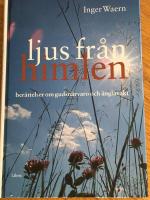 Ljus fr&aring;n himlen : ber&auml;ttelser om gudsn&auml;rvaro och &auml;nglavakt