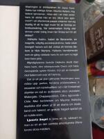 Ljusets &auml;ngel : [roman]