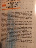 Johannes s&aring;g sig i spegeln : roman
