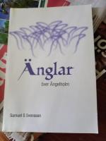 &Auml;nglar &ouml;ver &Auml;ngelholm : gudsupplevelser i &Auml;ngelholm 1992-96