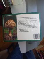 Svampguide i fickformat