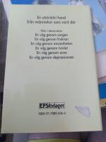 En v&auml;g genom tvivlet