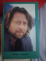 En varg s&ouml;ker sin flock