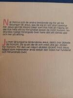 M&ouml;te med Jesus fr&aring;n Nasaret