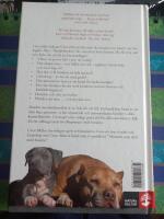 Hunden som familjemedlem