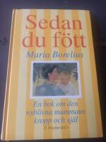 Sedan du f&ouml;tt : en bok om den nyblivna mammans kropp och sj&auml;l