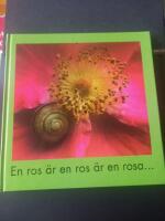 En ros &auml;r en ros &auml;r en rosa- : &Ouml;sterlens f&ouml;rfattare och konstn&auml;rer om en &auml;lskad blomma