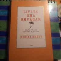 Livets sm&aring; omv&auml;gar : 50 r&aring;d fr&aring;n en som har tagit dem