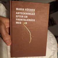 Anteckningar efter en frontalkrock med Gud