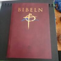 Konstskinnbibel
