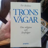 Trons v&auml;gar : om religion och livsfr&aring;gor