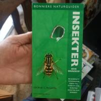 Insekter och sm&aring;kryp