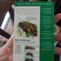 Insekter och sm&aring;kryp