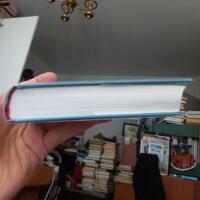 Lill-Tarzan &aring; jag : en ber&auml;ttelse fr&aring;n v&auml;rldens b&auml;sta land