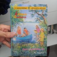 Den mystiska &ouml;n