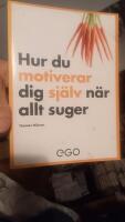 Hur du motiverar dig sj&auml;lv n&auml;r allt suger