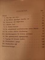 Att l&auml;sa bibeln : Praktisk handledning f&ouml;r moderna m&auml;nniskor 