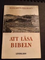 Att l&auml;sa bibeln : Praktisk handledning f&ouml;r moderna m&auml;nniskor 
