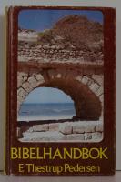Bibelhandbok : bibliska huvudord och begrepp f&ouml;rklarade