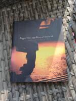 Koppartr&aring;d, &auml;ppelblom och levebr&ouml;d : v&auml;rldsarvet Falun