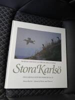 Stora Karls&ouml; : f&aring;glarnas och blommornas &ouml;