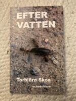 Efter vatten : roman