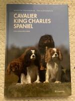 Cavalier king charles spaniel