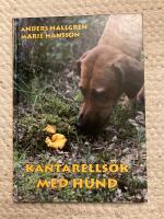 Kantarells&ouml;k med hund