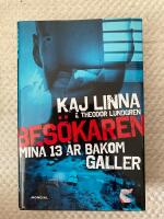 Bes&ouml;karen : mina 13 &aring;r bakom galler
