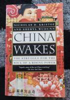 China Wakes - the Struggle for the Soul of a Rising Power