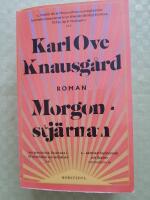 Morgonstj&auml;rnan