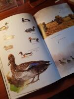 Markens djur och himlens f&aring;glar : viltet i naturen