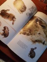 Markens djur och himlens f&aring;glar : viltet i naturen