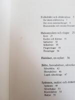 Folkligt dr&auml;ktsilver : ur Kulturens samlingar