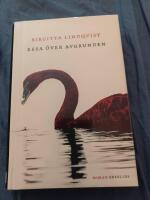 Resa &ouml;ver avgrunden