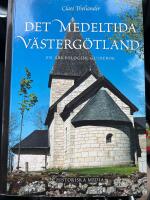 DET MEDELTIDA V&Auml;STERG&Ouml;TLAND: En arkeologisk guidebok (2004)