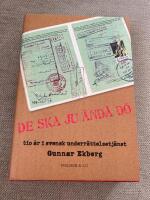 DE SKA JU &Auml;ND&Aring; D&Ouml;: tio &aring;r i svensk underr&auml;ttelsetj&auml;nst (2009)