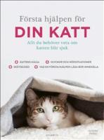 Första hjälpen för din katt