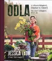 Odla i k&ouml;kstr&auml;dg&aring;rd, f&ouml;nster & rabatt : h&aring;llbar tr&auml;dg&aring;rd &aring;ret om