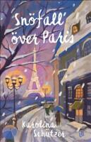 Sn&ouml;fall &ouml;ver Paris