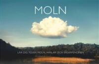 Moln