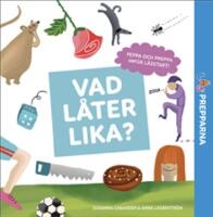Vad l&aring;ter lika?