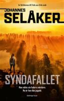 Syndafallet