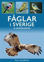 F&aring;glar i Sverige & Nordeuropa