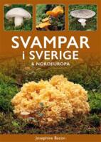 Svampar i Sverige & Nordeuropa