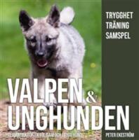 Valpen & unghunden - teamwork f&ouml;r en f&ouml;ljsam och trygg hund